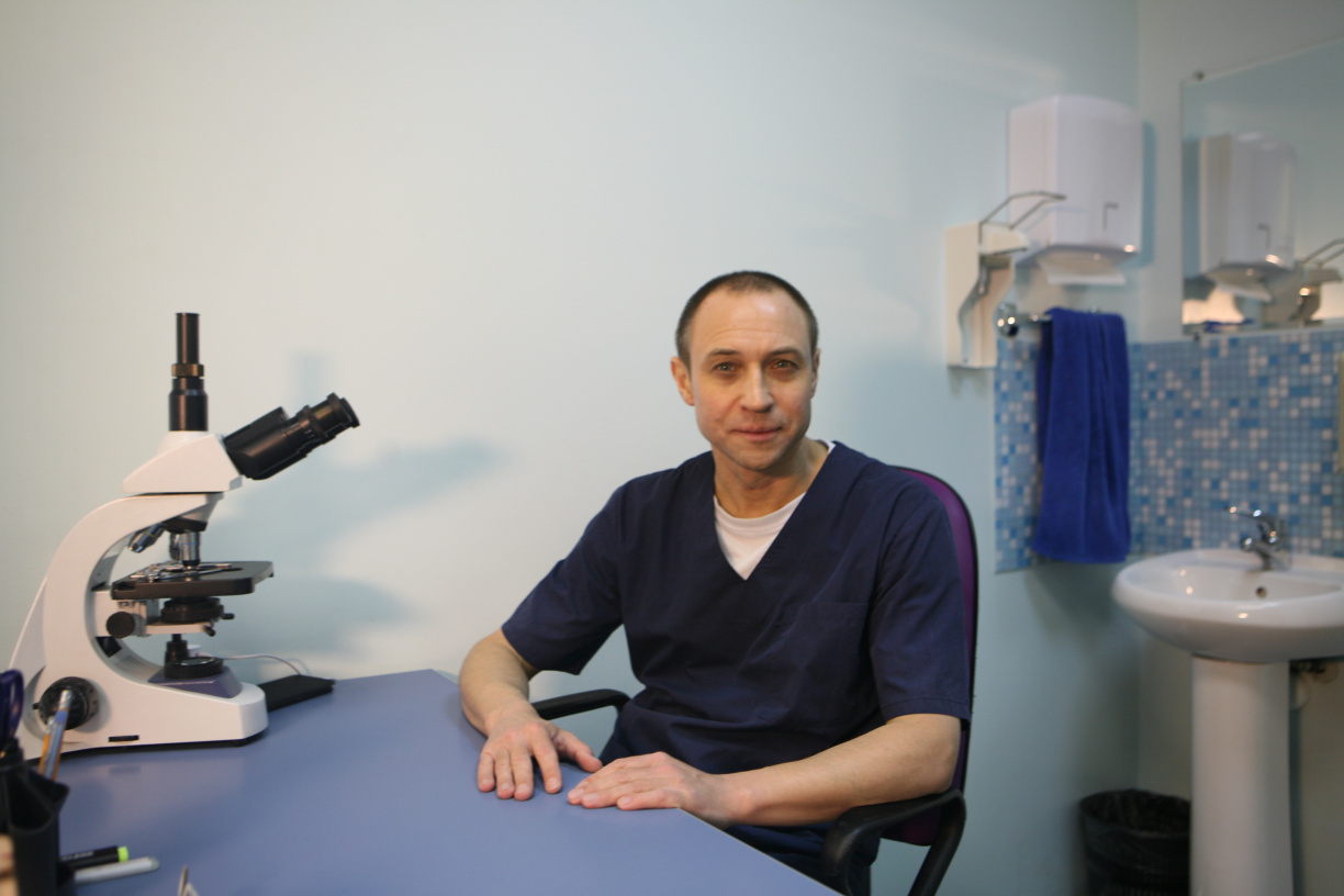 Анализы на Петроградской СПб на работу,в школу,на спорт – Клиника АндроМеда (Партнер Инвитро)