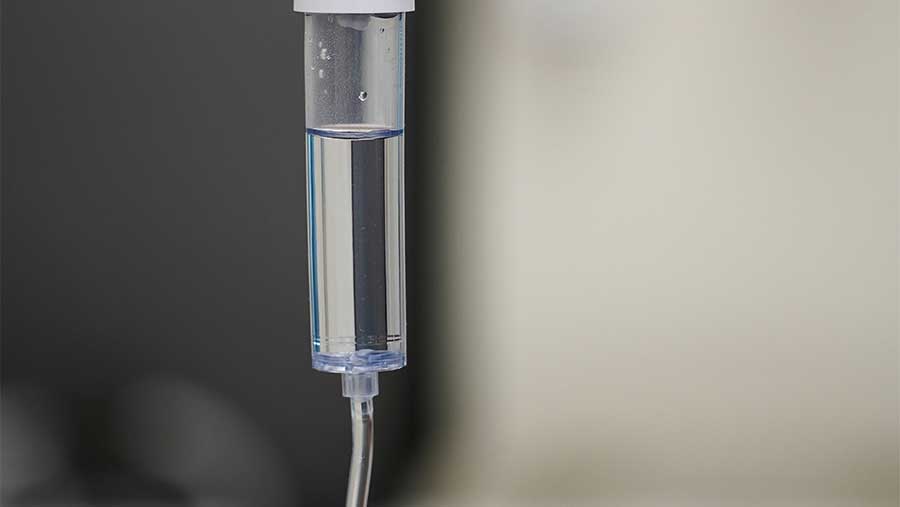 Что входит в состав капельницы «Золушка» в СПб Что входит в состав капельницы «Золушка» в СПб