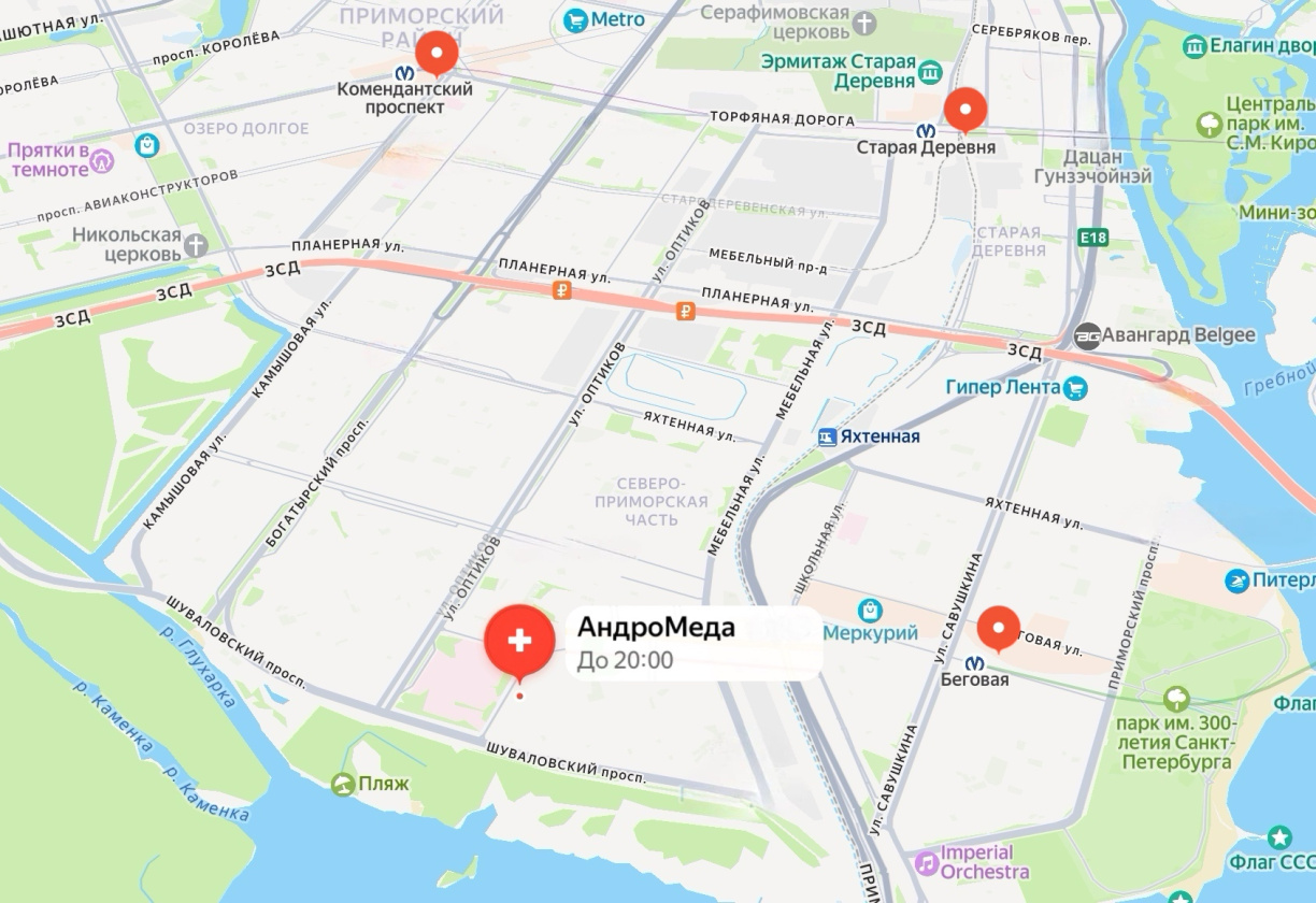 Врач гинеколог в Приморском районе СПб где принимает, проводит осмотр, назначения, УЗИ, мазки, биопсию, лечение. клиника "АндроМеда" 